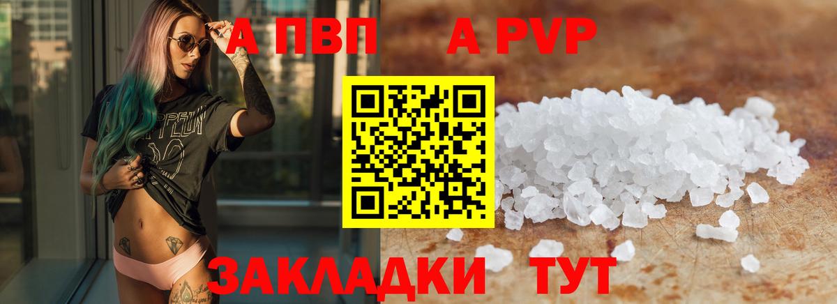 Альфа ПВП СК КРИС Гудермес