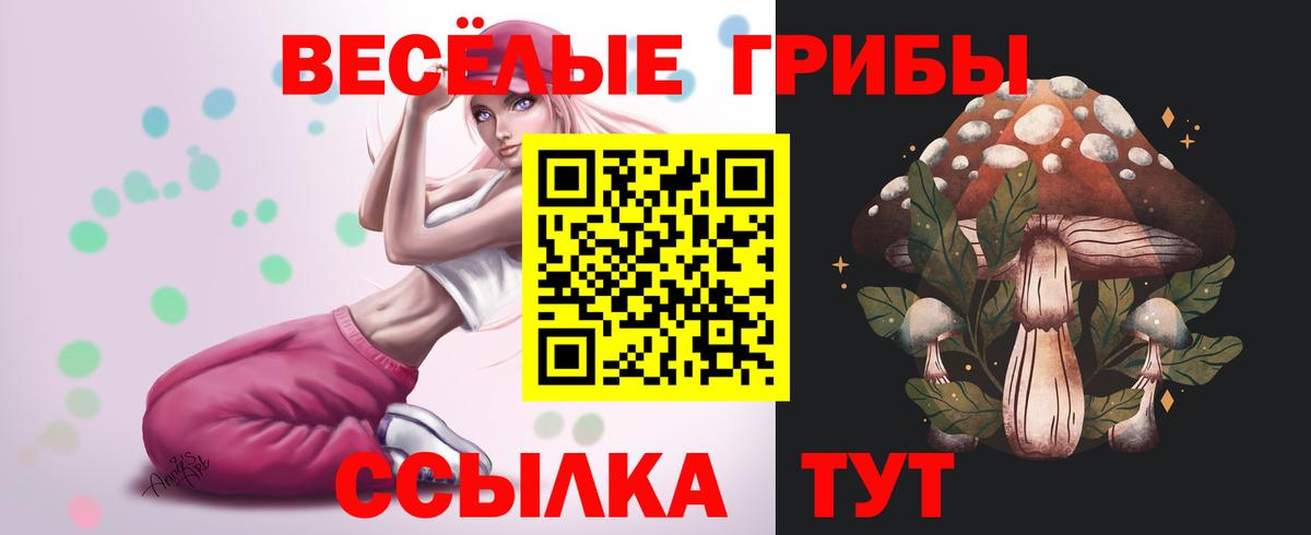 Гудермес  купить наркотик  Вход с VPN  Псилоцибиновые грибы Magic Shrooms 
