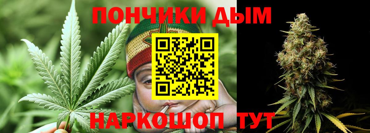 Канабис семена Гудермес